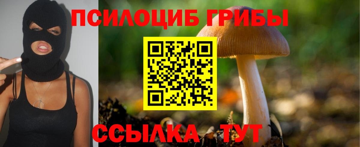 Галлюциногенные грибы Magic Shrooms  Галлюциногенные грибы GOLDEN TEACHER  Клин  Вход с VPN 